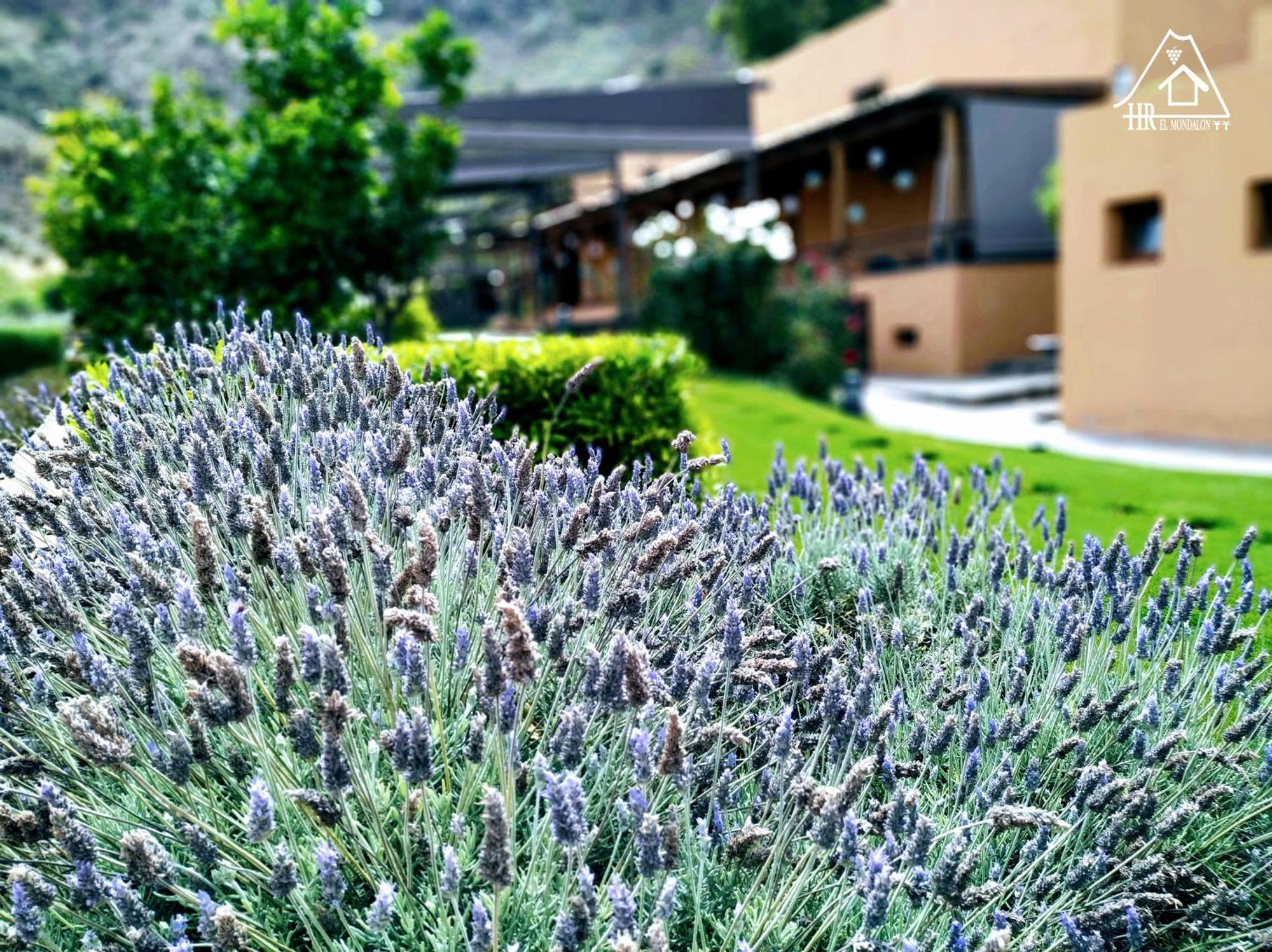 Hotel Rural El Mondalon Las Palmas de Gran Canaria Eksteriør billede
